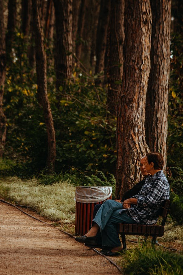 Poubelle en bois moderne : alliez style et fonctionnalité